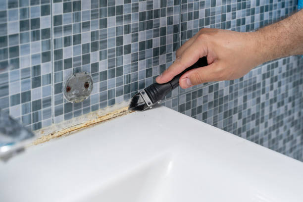 Mold Removal and Inspection in Grant Valkaria, FL