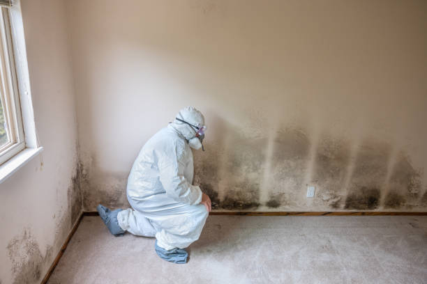 Best Crawl Space Mold Removal  in Grant Valkaria, FL