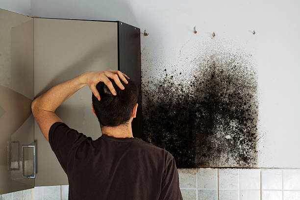 Crawl Space Mold Removal in Grant Valkaria, FL